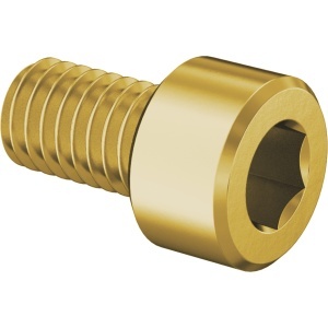 Brass Socket Head Screw M6 x 1.00 mm Thread size, 10 mm Long图2